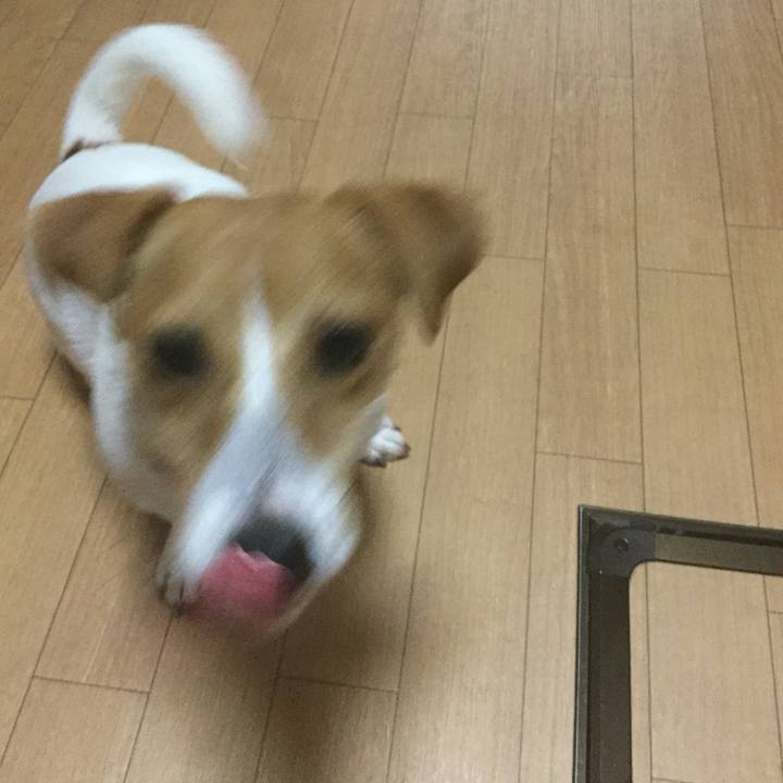 Afb34eba 6251 4140 845d d389aa66f054