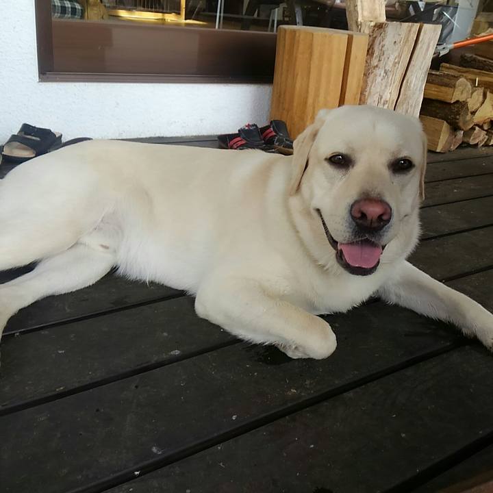 Afb462e7 4f1a 41e8 87fe 632bc53afd06