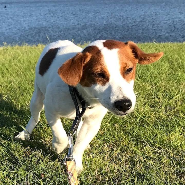 Afb48a20 dadc 43f3 833d 33b682e78685