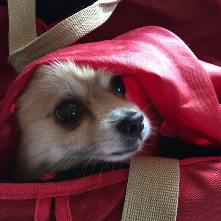 Afb5106e a2e3 4a41 ae77 8691014b0651