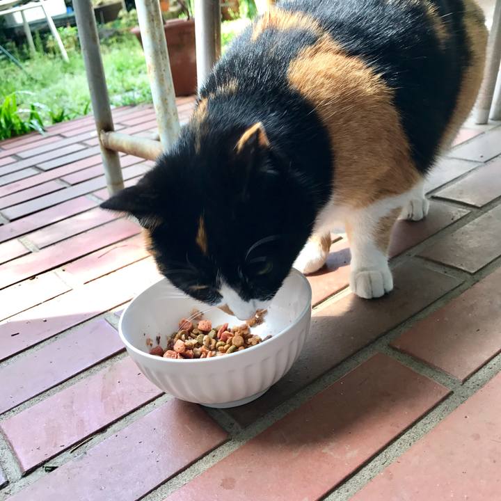 Afb58c06 34ce 4d0b 916d dec835a085f5