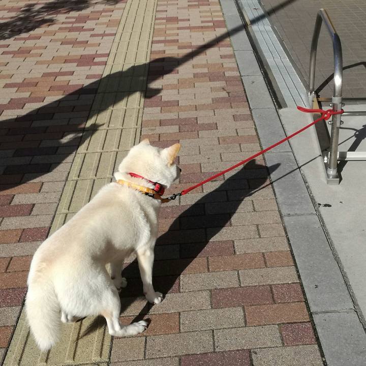 Afb5904e 5e88 4022 886b f8eec7c4b602