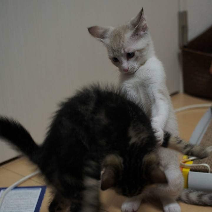 Afb5a95e e857 4e3d 8429 4792e538bc52