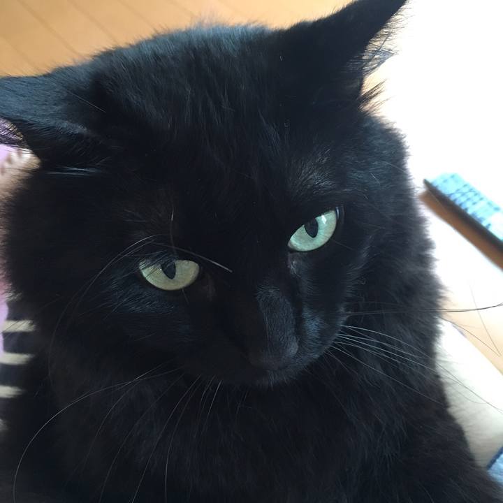 Afb5bda8 229e 4e83 9589 fabddb57df35