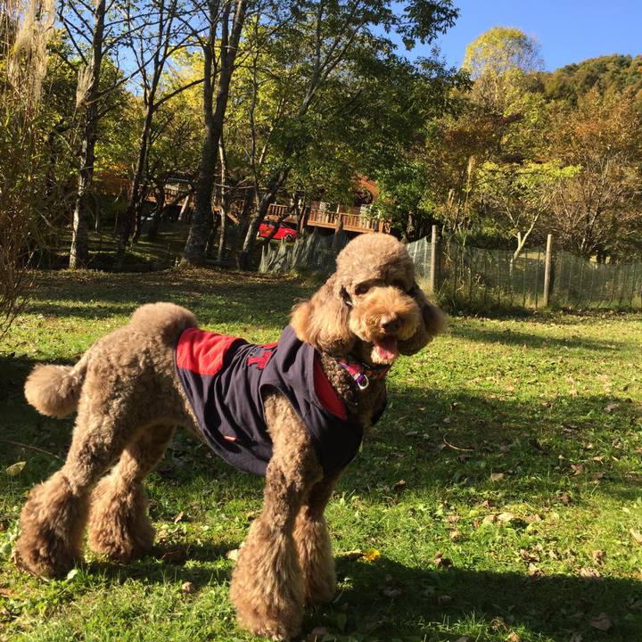 Afb6c75d 3c89 4d96 895d 387cf6315cef