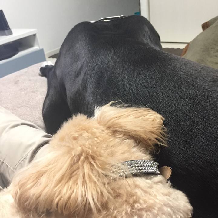 Afb74525 85ea 4083 a870 1cb6b4d3ca0c