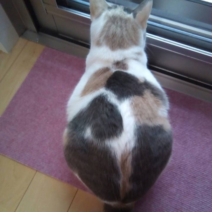 Afb83c28 572e 47a8 bf3f c23c04612e5f