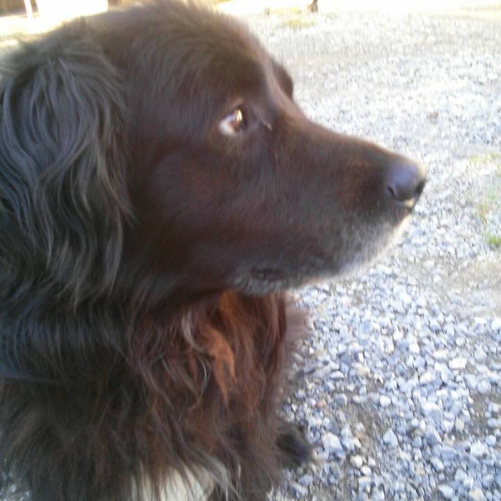 Afb8e12c 8b0c 4ee2 85ef ec83ac08042f