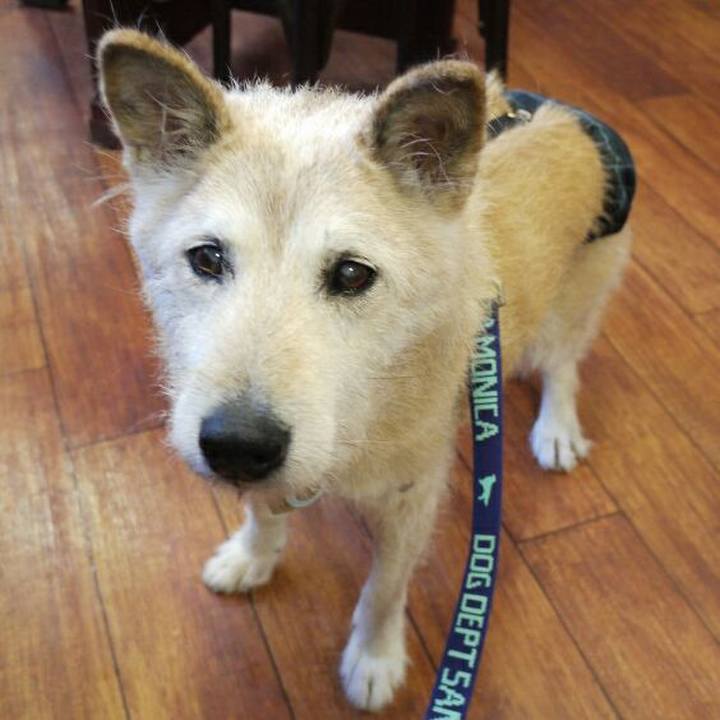 Afb92ff6 e5a9 4953 837d fa3f1c1222b0