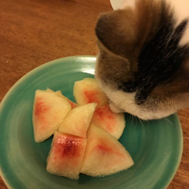 Afb95822 9fef 4f68 a2a8 3358ba0dd637