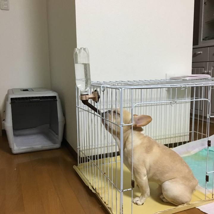 Afb9a992 cfc2 4b61 8016 242ba5e02da8