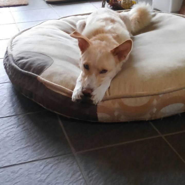 Afb9b45b b112 4256 ac86 baace40dbd26