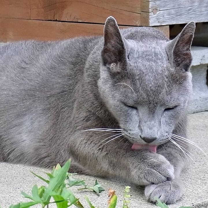 Afba2bf7 a009 4b33 98cb fc26fc24cebb