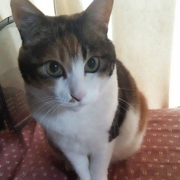 Afba6303 4f16 497b abe7 eb8d0046ee79