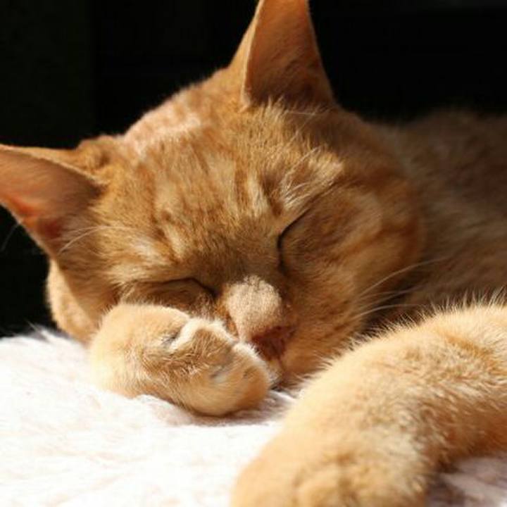 Afbadb7d 2f3e 492f aeae a2b678636c5d