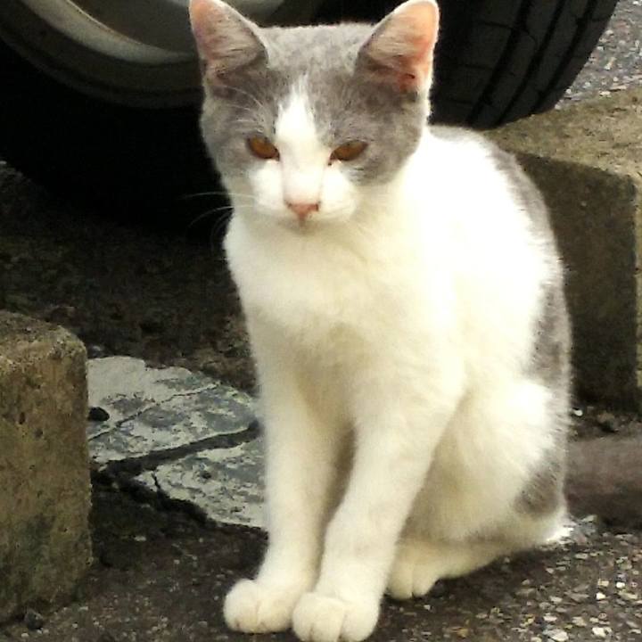 Afbadcc5 808e 48d5 a193 2129f664727e