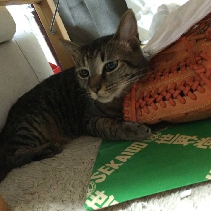 Afbb6aa2 02e7 4b0c 865b 9eb22d39a377