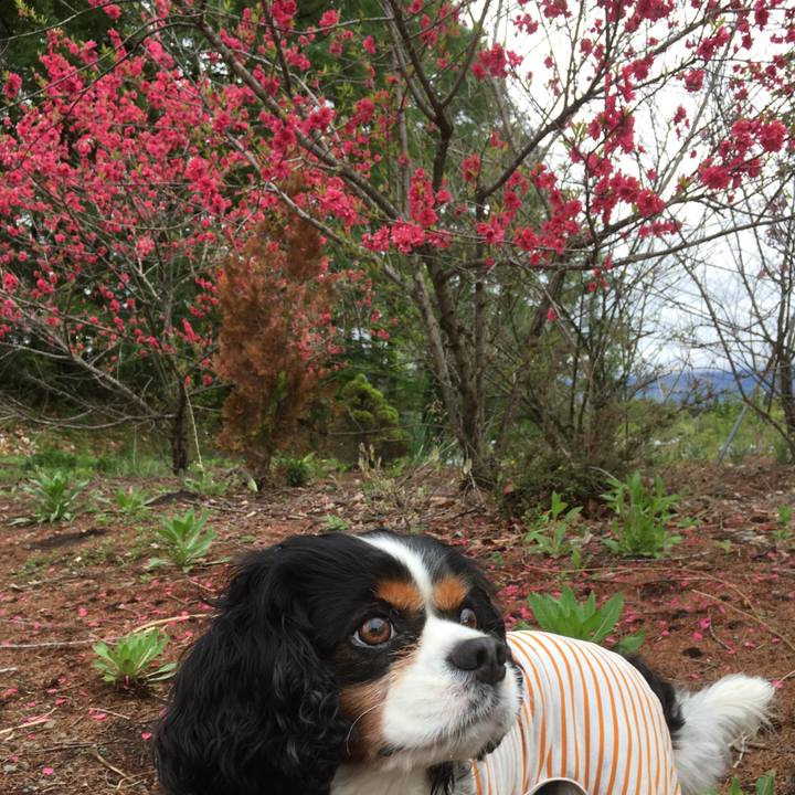 Afbb6f17 3e23 47ff bf29 8a9cec5badef