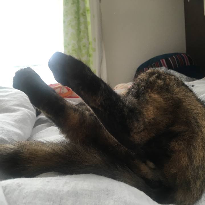 Afbbaf2a 055e 49eb 9b44 7b0acee54b05