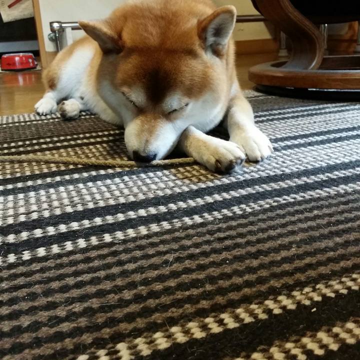 Afbd1aab 7ea8 4d5e bc8f e41cbb2f31a1