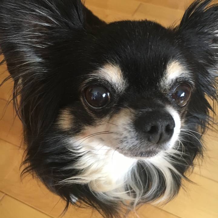 Afbe0750 dcf5 4773 9d6c 063c29db84de