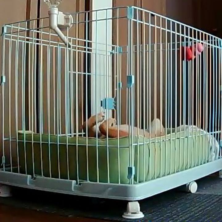 Afbe1630 a71b 4690 bf86 146b9ffff388