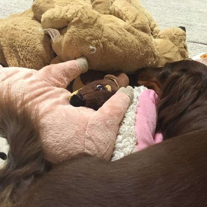 Afbe1c53 ccf6 4093 bd97 90c37279771a