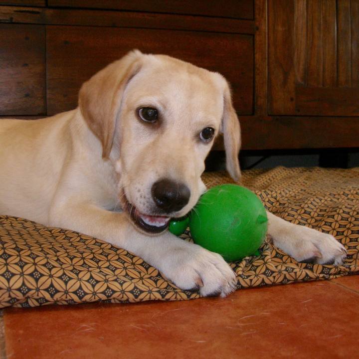 Afbe42e4 49d8 42aa b2fb e984fc7ab69b