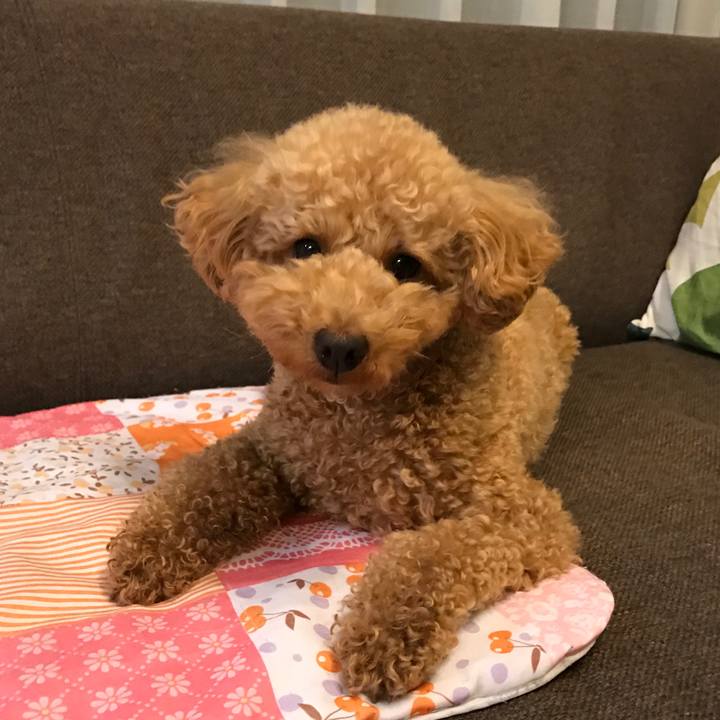 Afbecdee 9d01 4255 83be 3def40c74cff