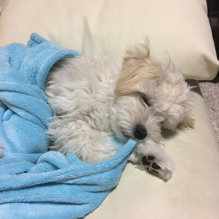 Afbf1749 14d7 4b92 a355 78cc657fd866