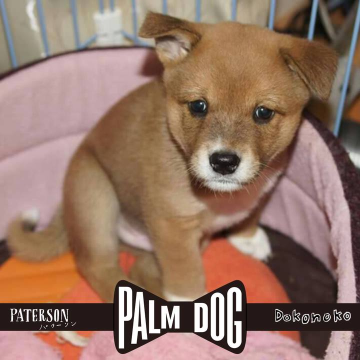 Afbf87de edd5 4fdd bc53 2aa9722cd465