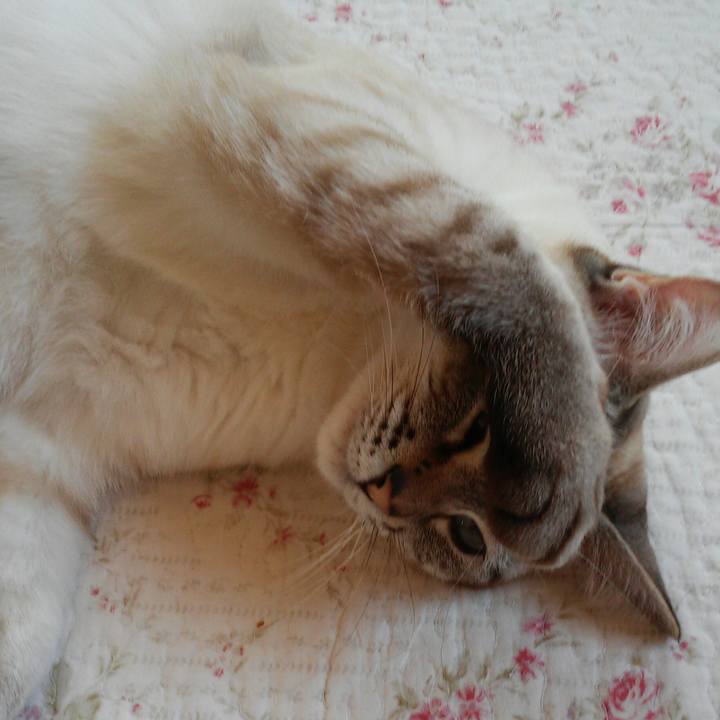 Afc00a46 e24b 40c2 a6b4 4fb46aaa8137