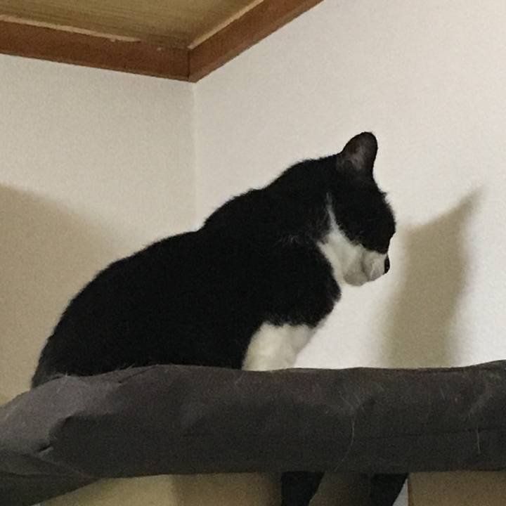 Afc06330 429a 4783 baee e342ee031dc1