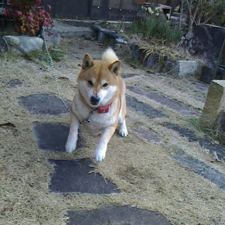 Afc110a5 e5c0 4d39 9ff8 b1733bda48c8