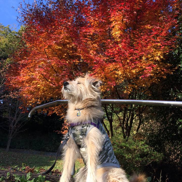 Afc11271 dc5c 4193 8ef9 c12b09fb878f