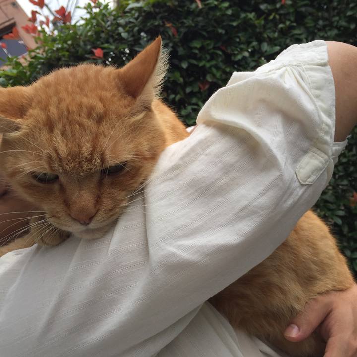 Afc29aa2 899c 49a1 a736 3892c0195929