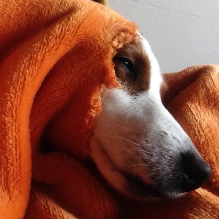 Afc2ef47 af8e 429f b640 4e060f344d40