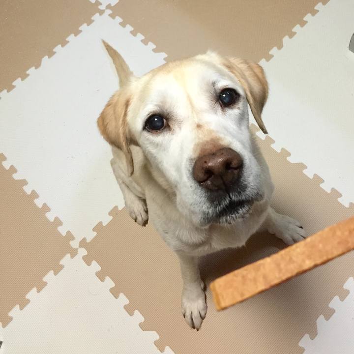 Afc3555e d09c 46e9 ad19 d7b893dc2831