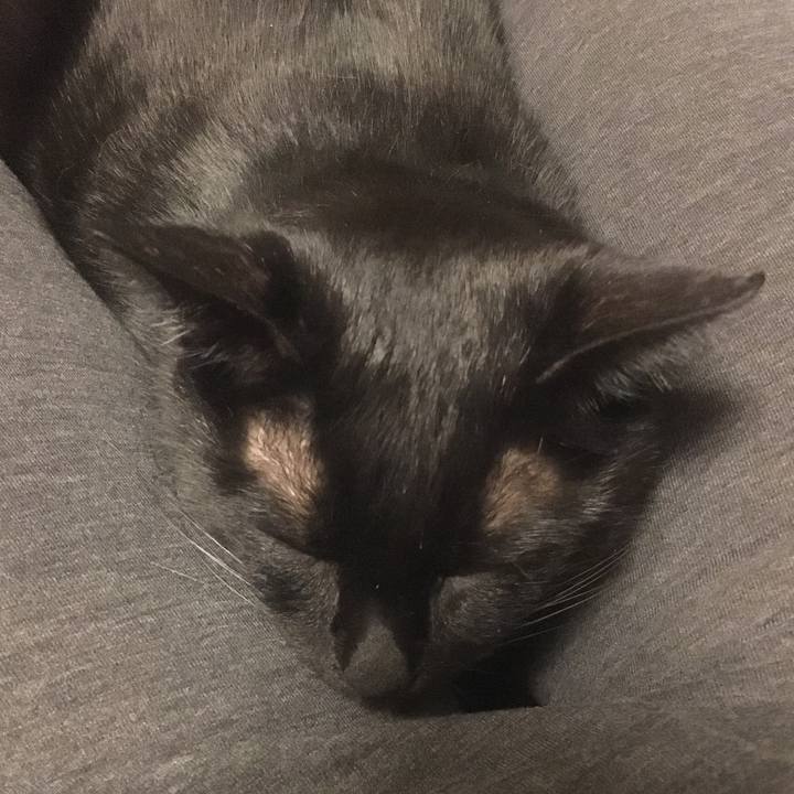 Afc3780b 0c6c 4e5c 9cdf e8200aeffd06