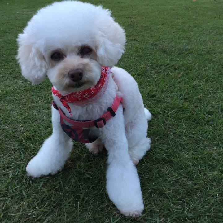 Afc4e23b dcdd 41c0 9fca 12d5c19f8863