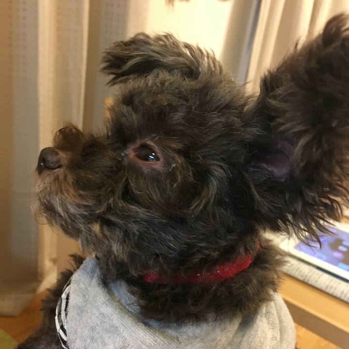 Afc53465 d1e9 4c2f a50d ada27d5855e6