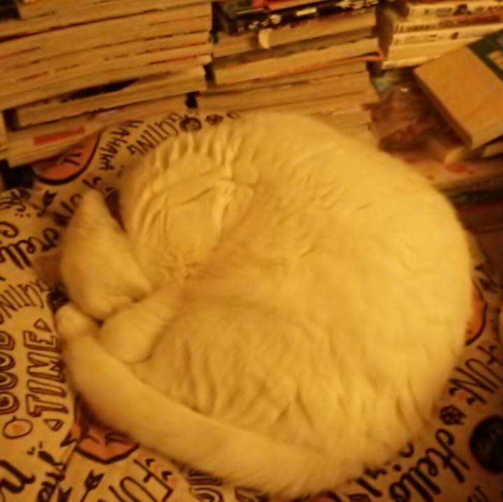 Afc65348 7159 420f a3ff ca6c981bc0eb