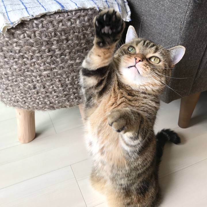 Afc6f55f f9cc 403a 84fa f68254cb21b7