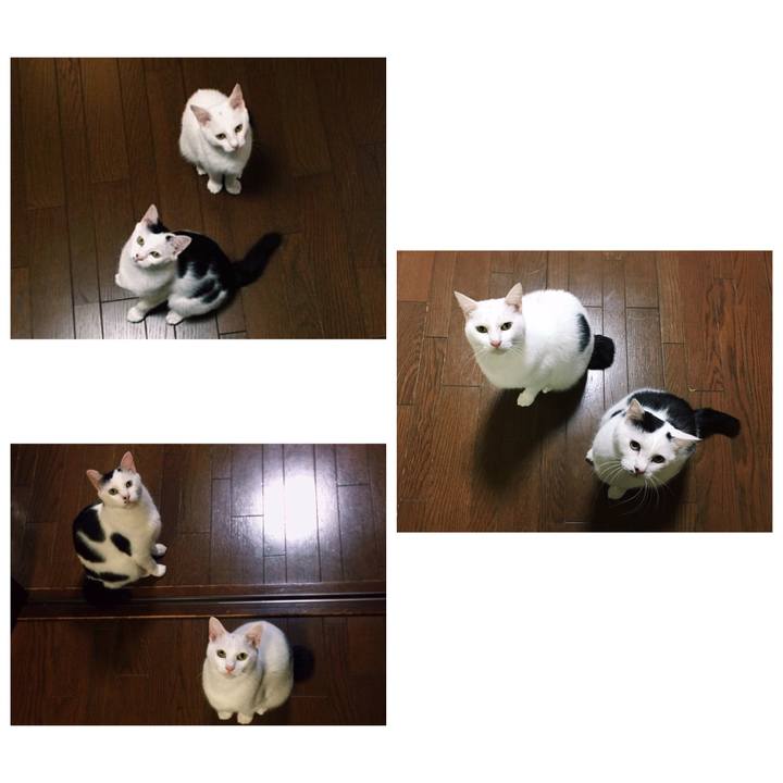 Afc787a1 3152 4127 b356 749f5e188856