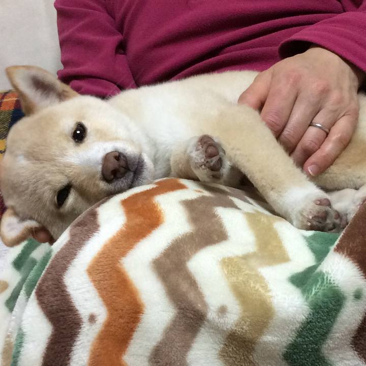 Afc7f971 a66e 4f0f ab46 1dfc8f310c18