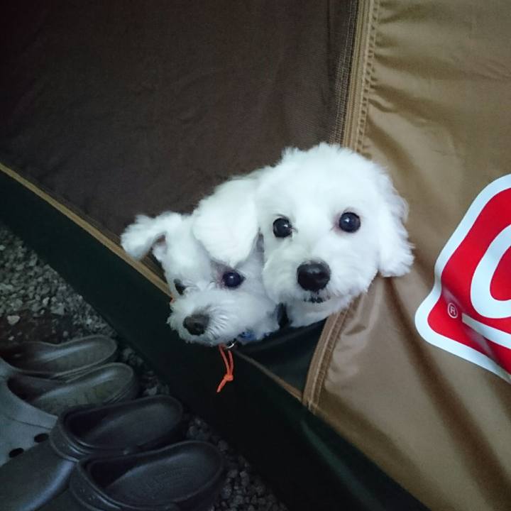 Afc8616d 34c1 4d02 89f5 bde3d8adaff7