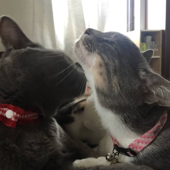 Afc92a14 5734 4735 8c51 09d9cd1e2d77