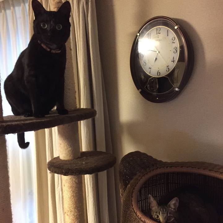 Afc9f214 be56 45d5 a466 15e79133685a