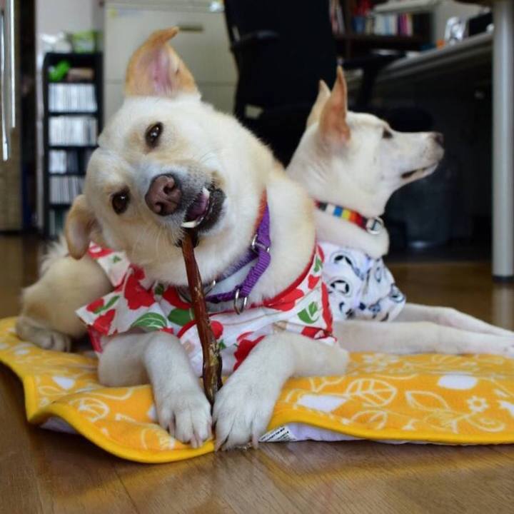 Afcab94f bb4a 4e5b 8558 f796289be408