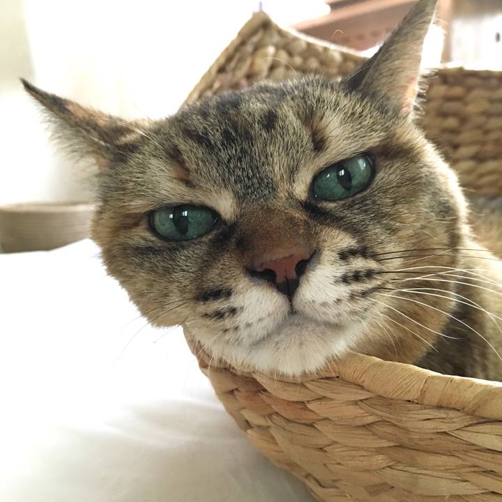 Afcb6789 6ad2 4899 890c ba0e9f26b3db